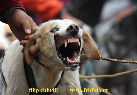 Tri studne podzim 08 - 128.jpg